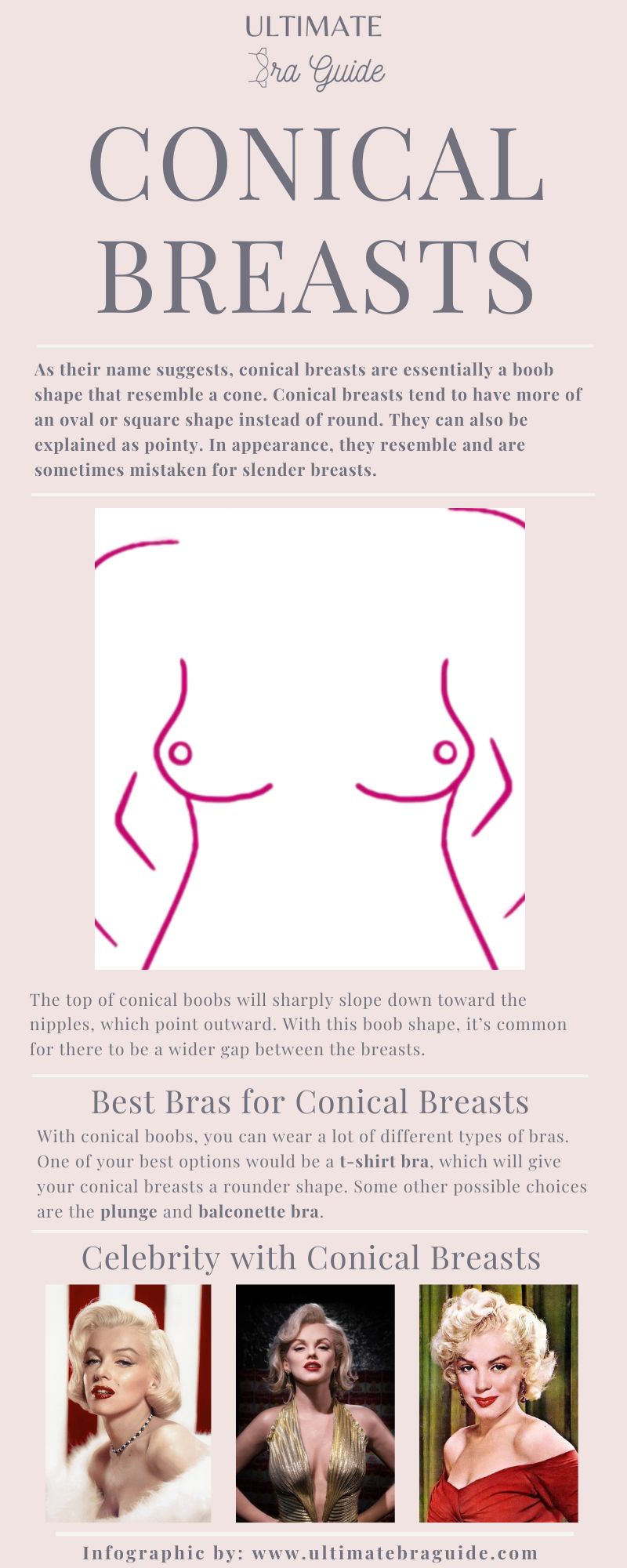 An infographic about conical breasts - what they are, what they look like, what are the best bras for them, and some celebrities with conical boobs