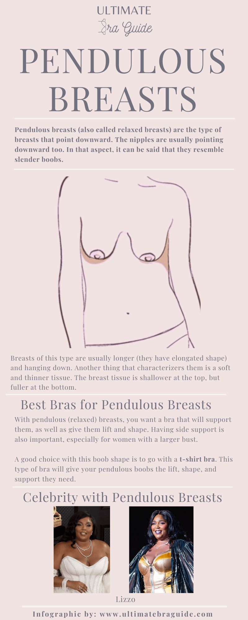 An infographic about pendulous breasts - what they are, what they look like, what are the best bras for them, and some celebrities with pendulous boobs