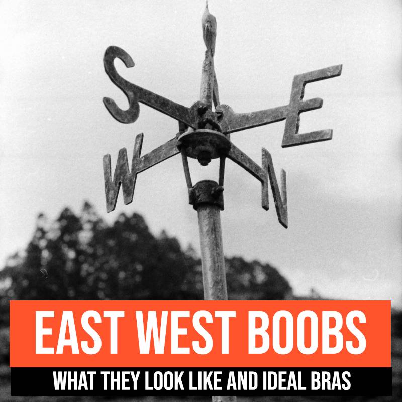 East west boobs