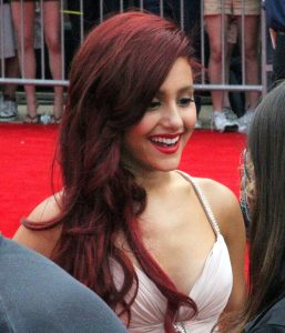 Ariana Grande - an example of a celebrity with A cup boobs