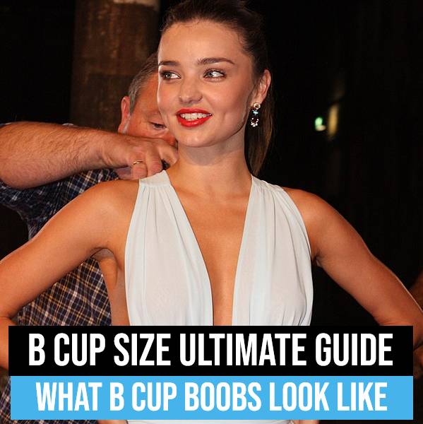 B cup size ultimate guide: what B cup boobs look like featured image