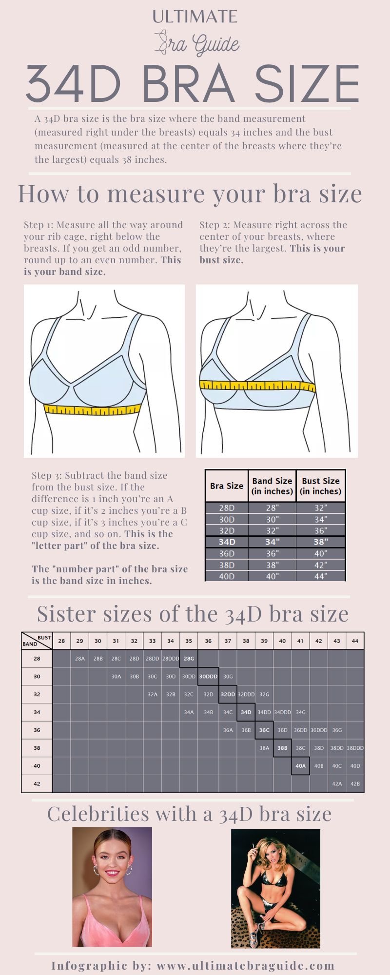 An infographic all about the 34D bra size - what it is, how to measure if you're 34D bra size, 34D bra sister sizes, 34D cup examples, and so on