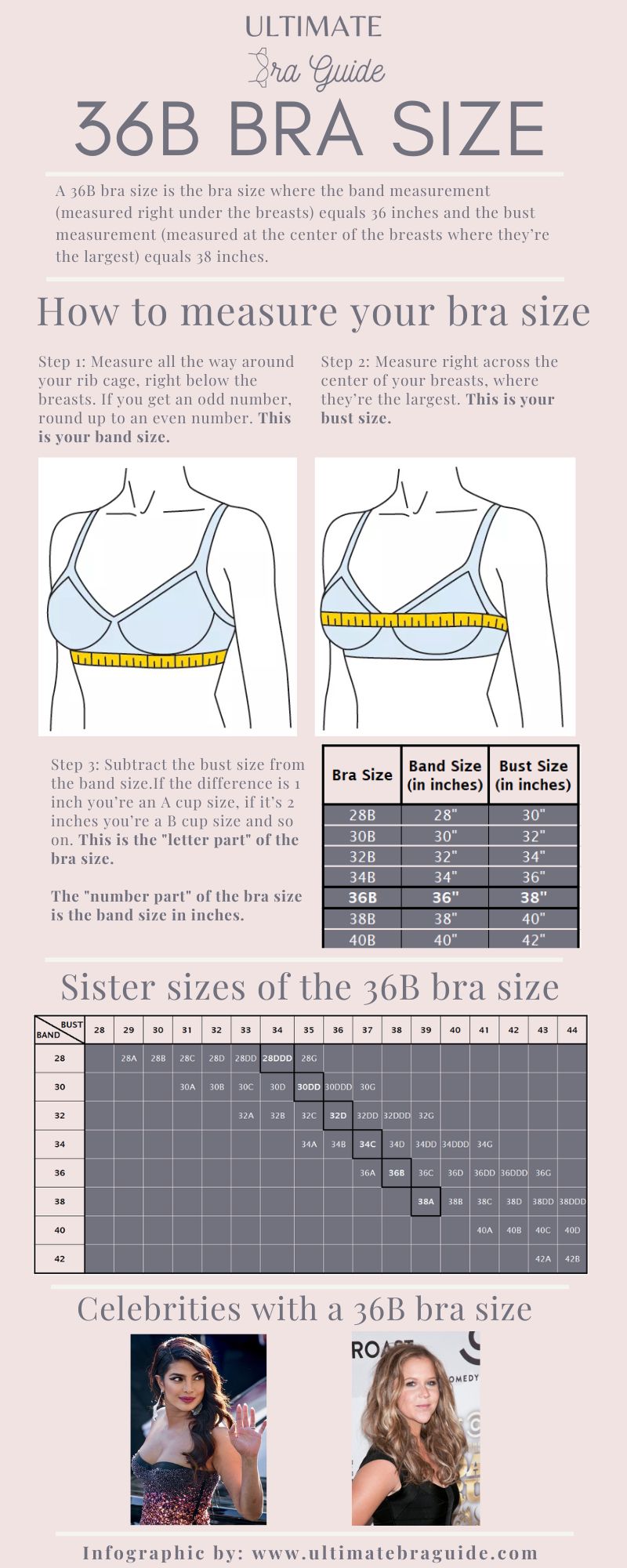 An infographic all about the 36B bra size - what it is, how to measure if you're 36B bra size, 36B bra sister sizes, 36B cup examples, and so on