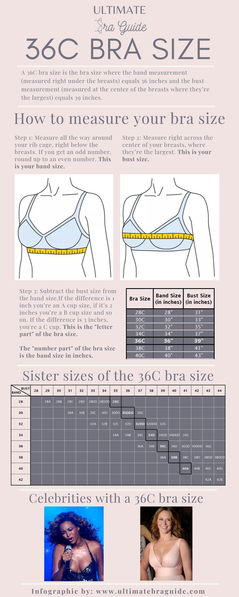 An infographic all about the 36C bra size - what it is, how to measure if you're 36C bra size, 36C bra sister sizes, 36C cup examples, and so on