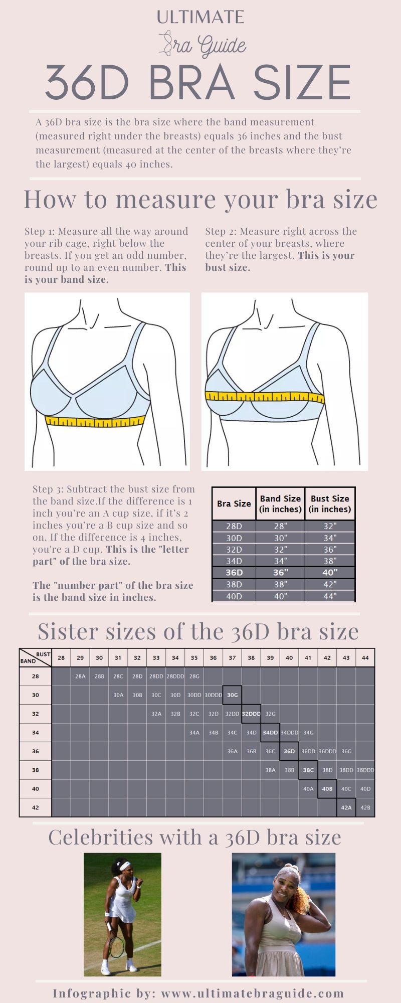 An infographic all about the 36D bra size - what it is, how to measure if you're 36D bra size, 36D bra sister sizes, 36D cup examples, and so on